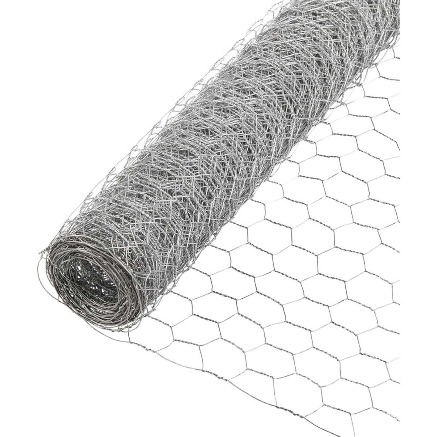 Agway 2 Ft. x 100 Ft. x 1 In. 20-Gauge Poultry Netting Image 1