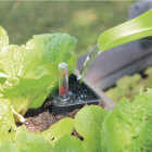 Emsco 33 In. x 13 In. High Rise Elevated Garden Bed Image 3