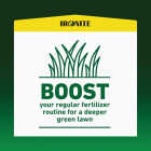 Ironite 3 Lb. 1000 Sq. Ft. Coverage Soluble Iron Image 5