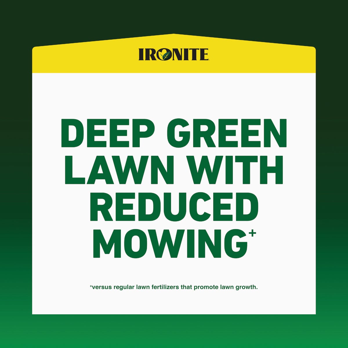 Ironite 3 Lb. 1000 Sq. Ft. Coverage Soluble Iron Image 2