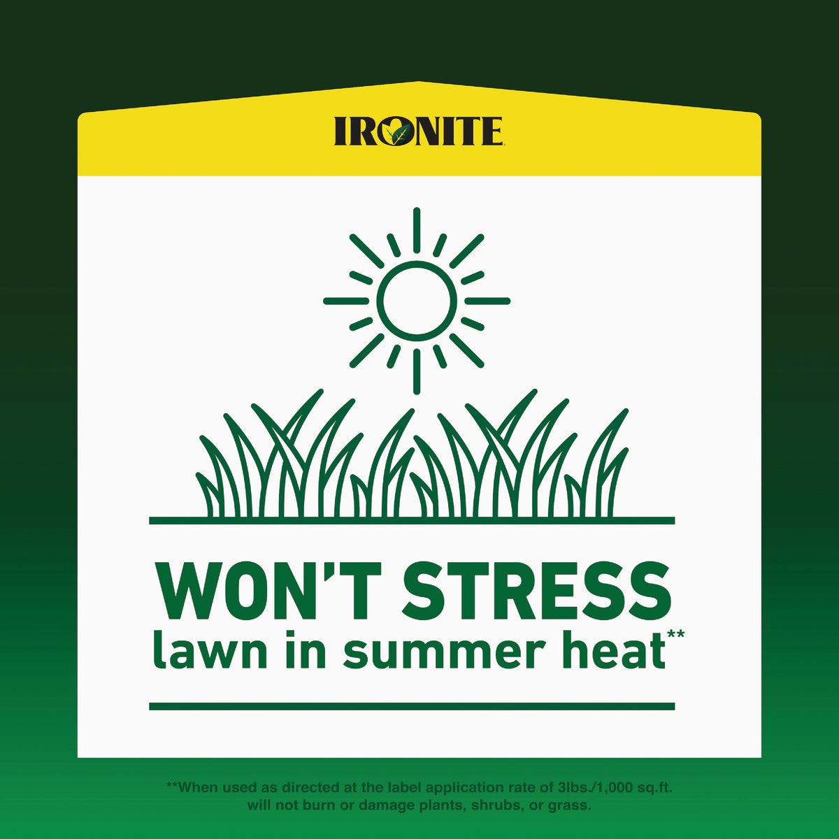 Ironite 3 Lb. 1000 Sq. Ft. Coverage Soluble Iron Image 4