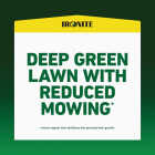 Ironite 15 Lb. 5000 Sq. Ft. Coverage Soluble Iron Image 2