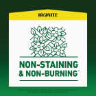 Ironite 15 Lb. 5000 Sq. Ft. Coverage Soluble Iron Image 3