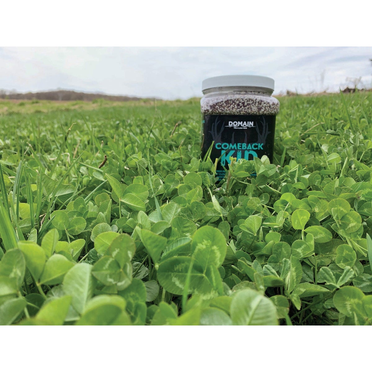 Domain Comeback Kid 3.75 Lb. 1/2 Acre Food Plot Seed Image 3