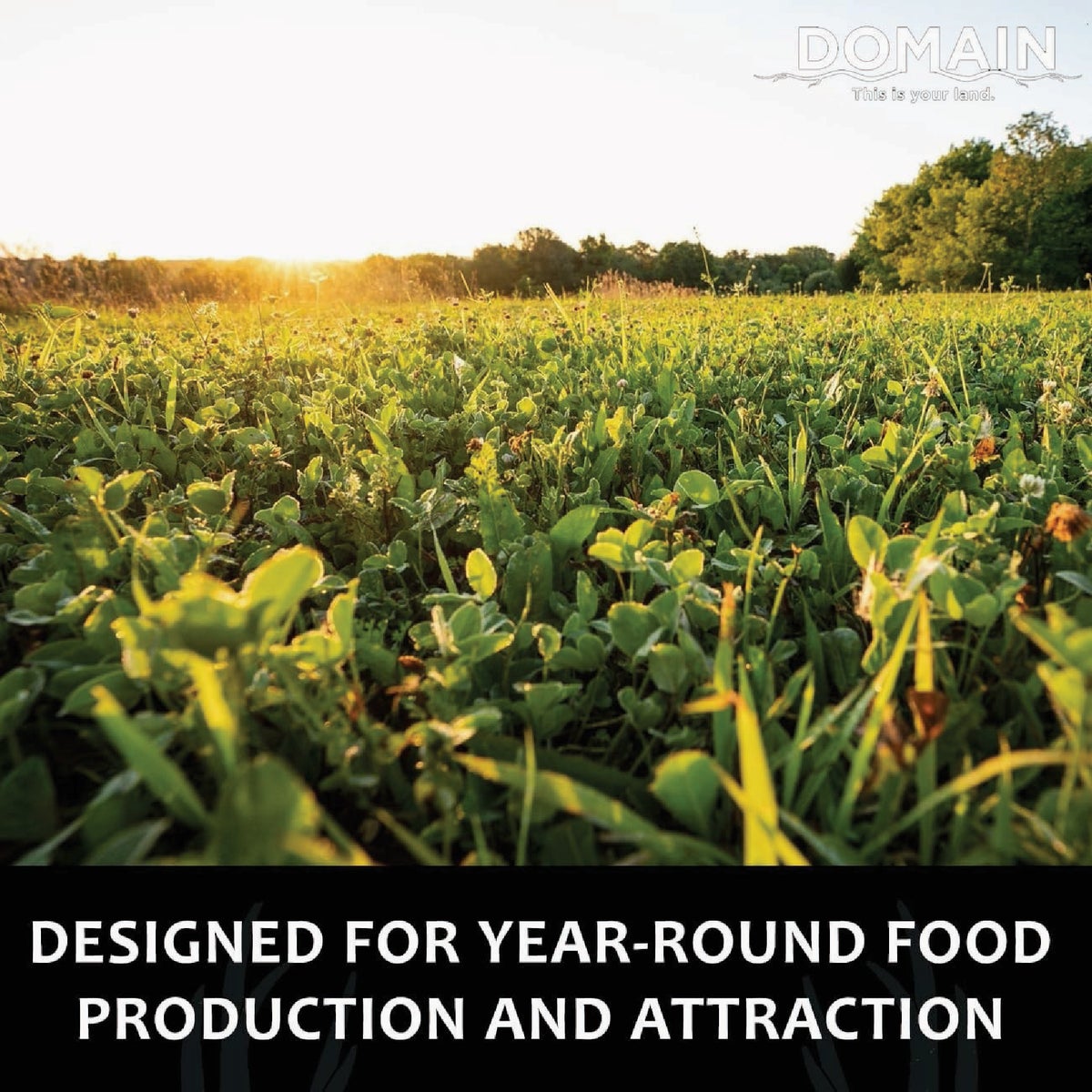 Domain Comeback Kid 3.75 Lb. 1/2 Acre Food Plot Seed Image 2