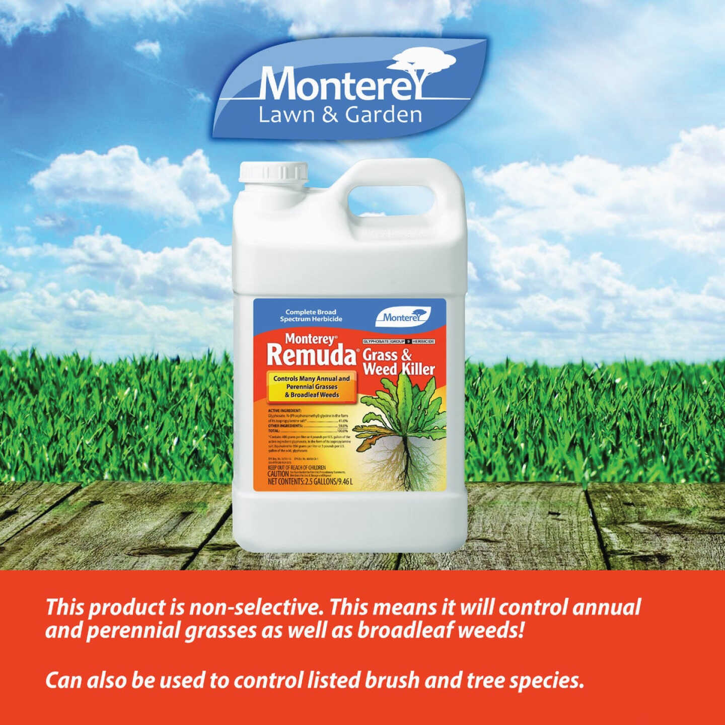 Monterey Remuda 2.5 Gal. Concentrate Grass & Weed Killer Image 2