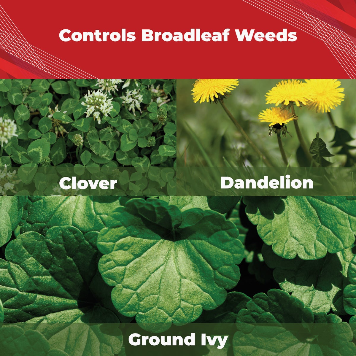 Gordon's Trimec 1 Qt. Concentrate Platinum All in One Weed Control Image 2
