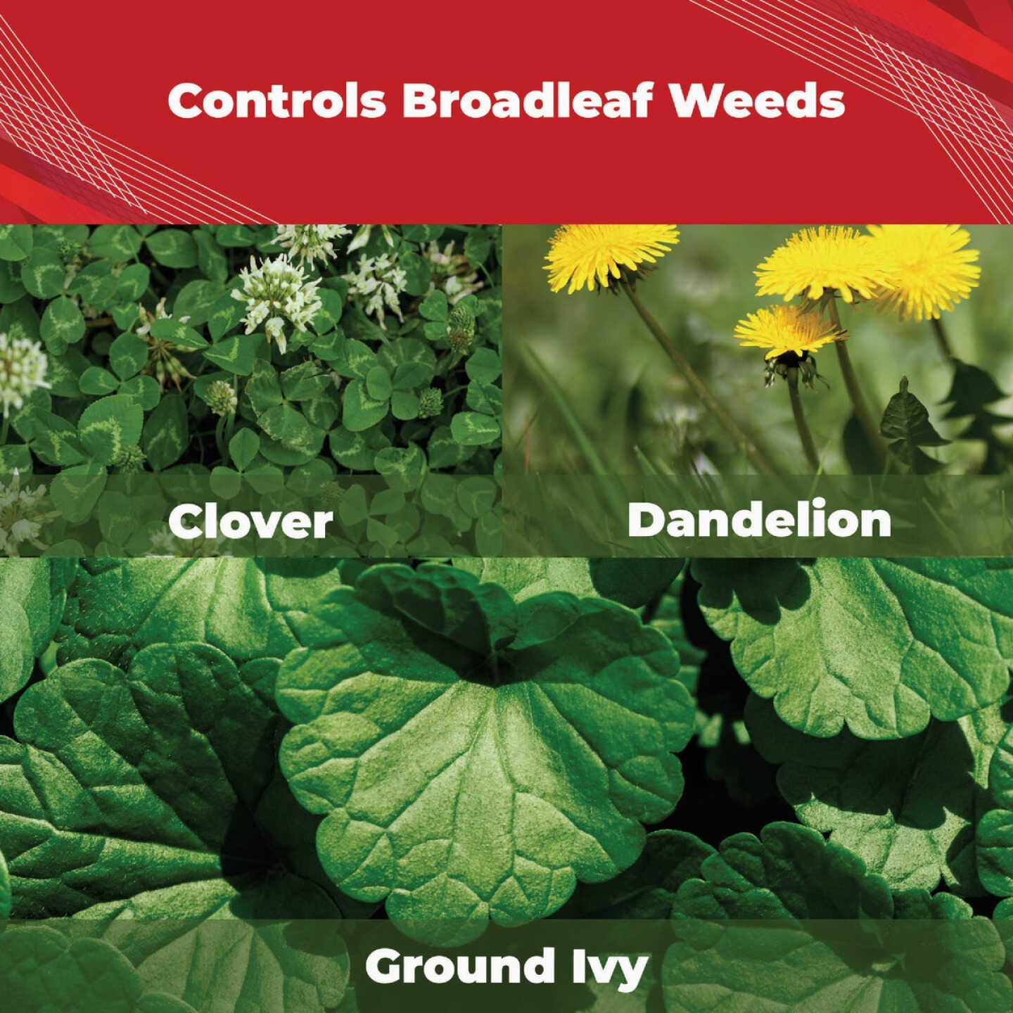 Gordon's Trimec 1 Qt. Concentrate Platinum All in One Weed Control Image 2
