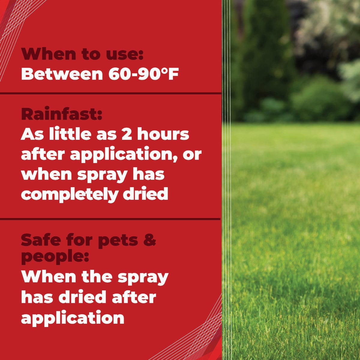 Gordon's Trimec 1 Qt. Concentrate Platinum All in One Weed Control Image 5