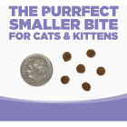 NutriSource 12 Lb. Chicken & Salmon Grain Free Dry Cat & Kitten Food Image 3