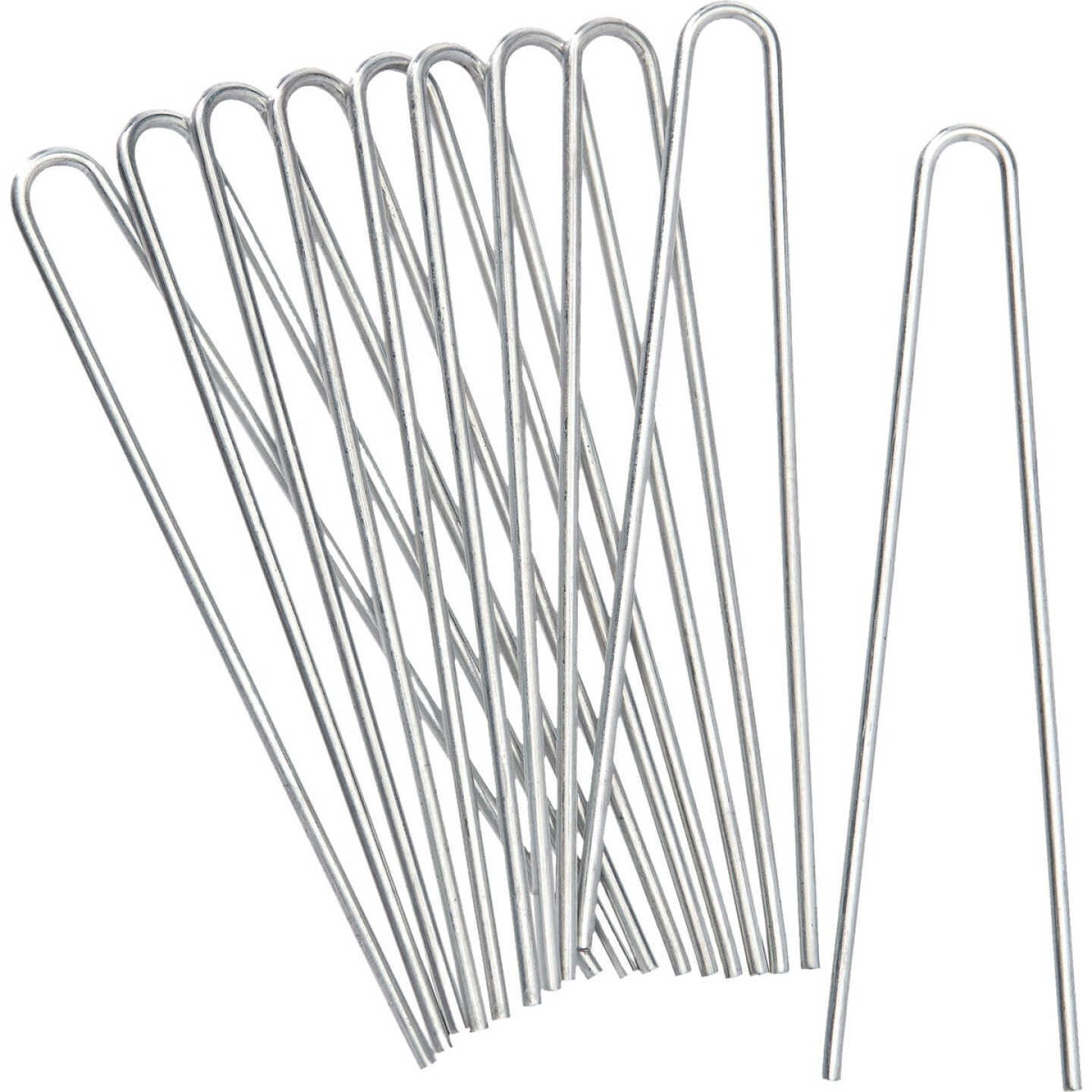 Orbit 1/4 In. Loop Stake (10-Pack) Image 1