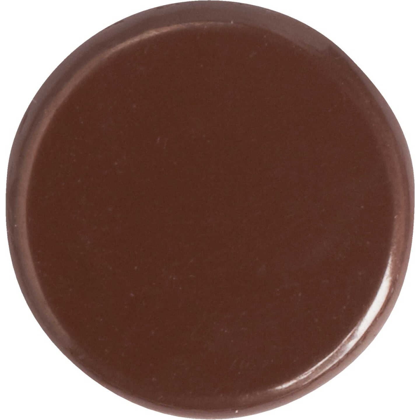 Hillman Anchor Wire Brown 23/64 In. x 15/64 In. Thumb Tack (40-Count) Image 3