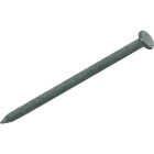 Do it 6d x 2 In. 11-1/2 ga Hot Galvanized Common Nails (835-Count, 5 Lb.) Image 1