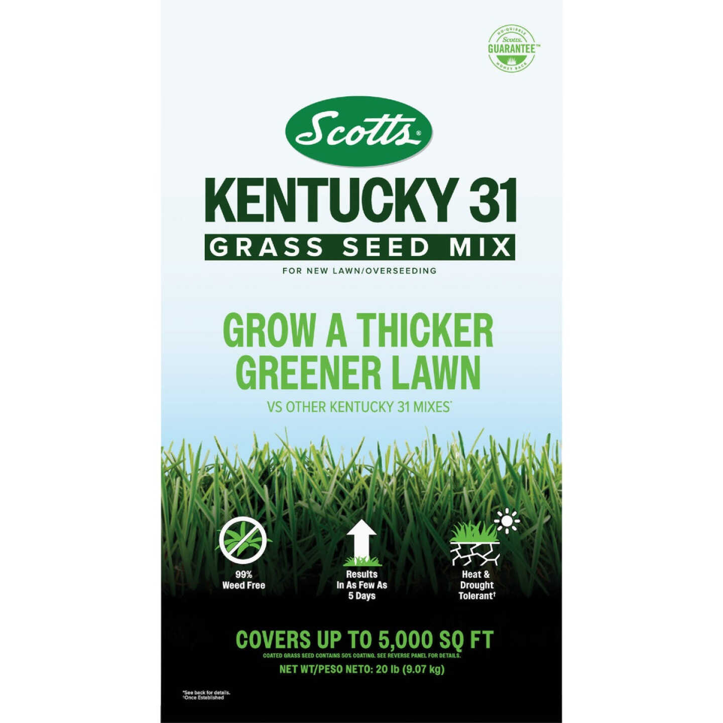 Scotts 20 Lb. Kentucky 31 Grass Seed Mix Image 1