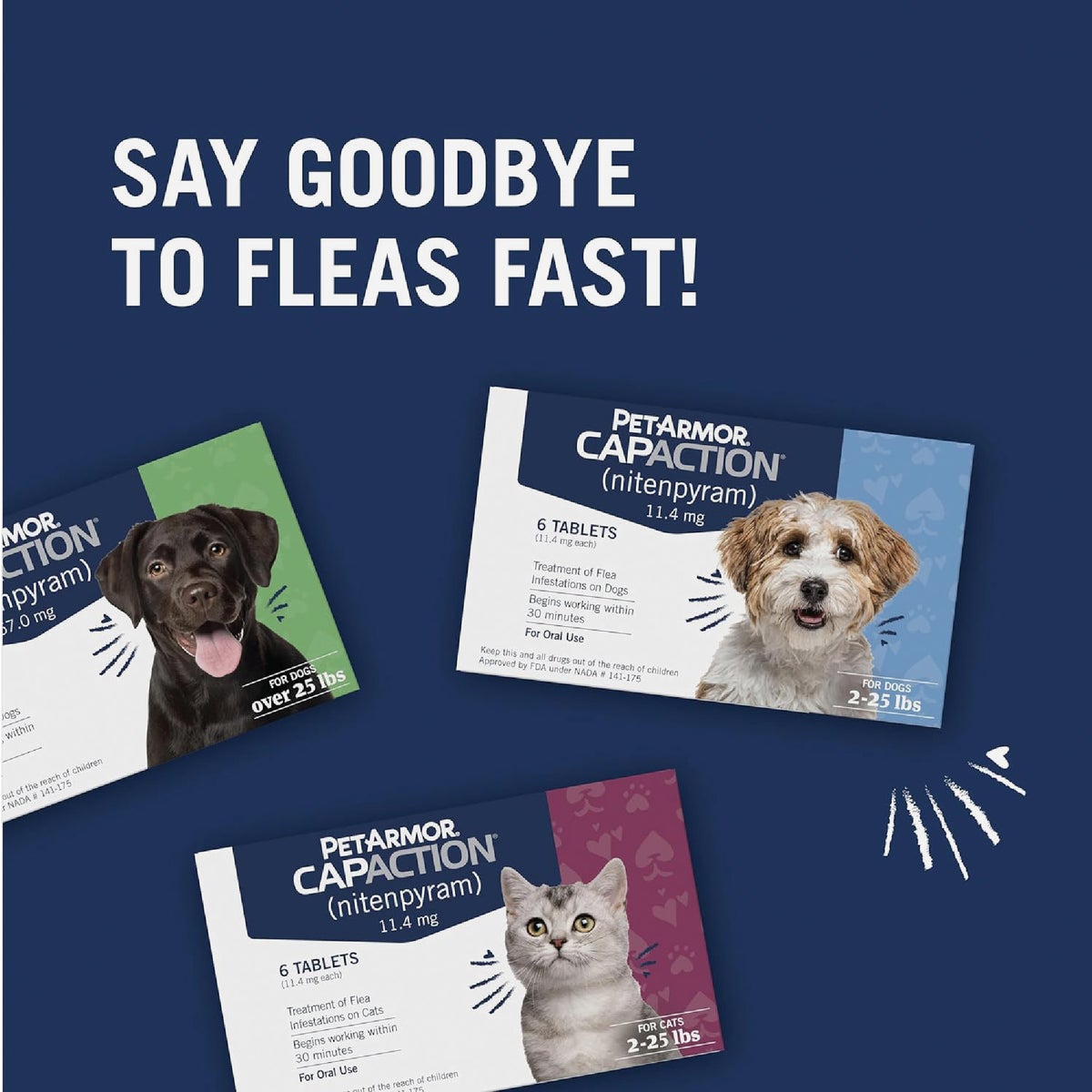 PetArmor CapAction 2 to 25 Lb. Dog Flea Tabs (6-Pack) Image 5