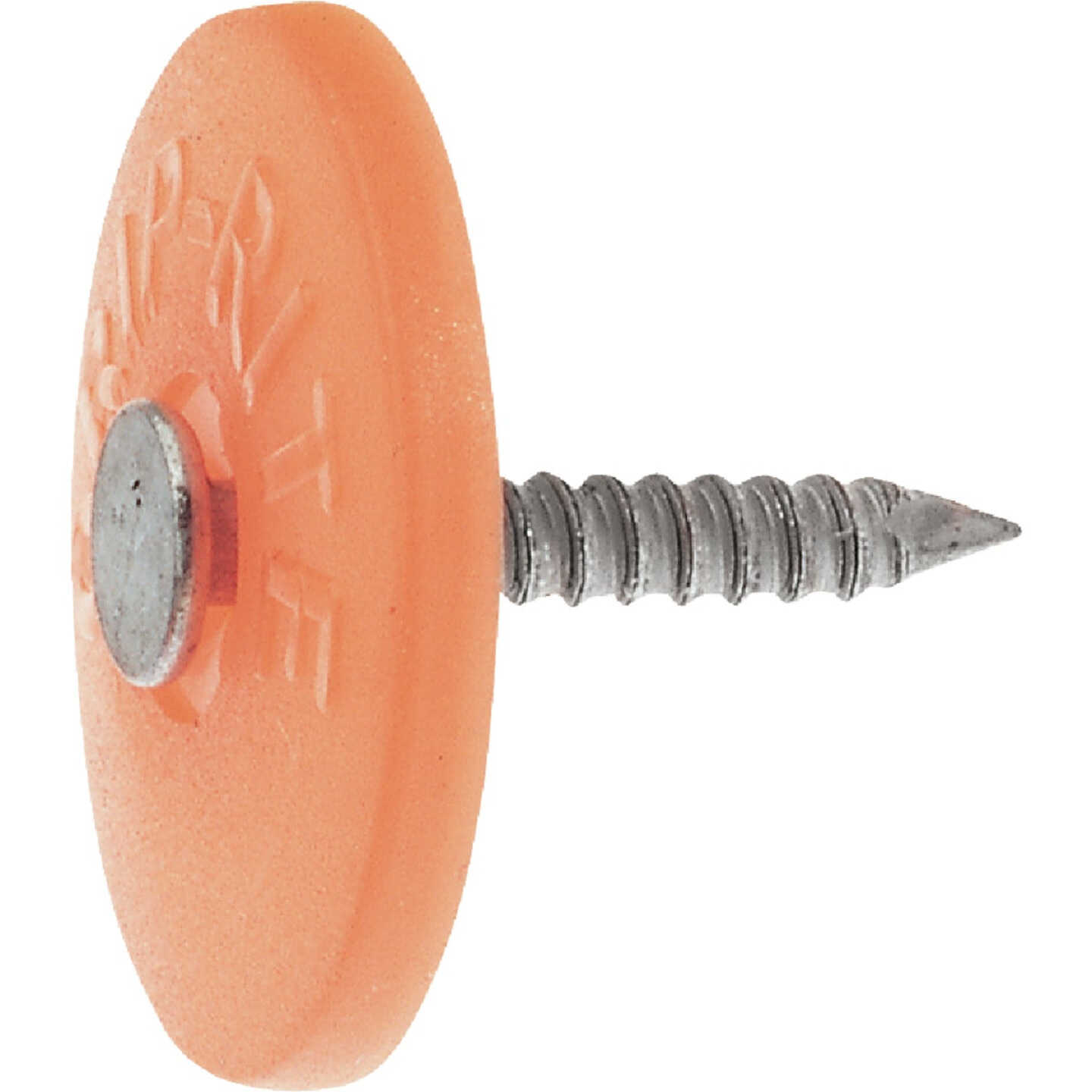 Do it Best 2 In. 12 ga Electrogalvanized Cap Nails Box (2000-Count, 10 Lb.) Image 1