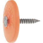 Do it Best 1-3/4 In. 12 ga Electrogalvanized Cap Nails (2000-Count, 9 Lb.) Image 1