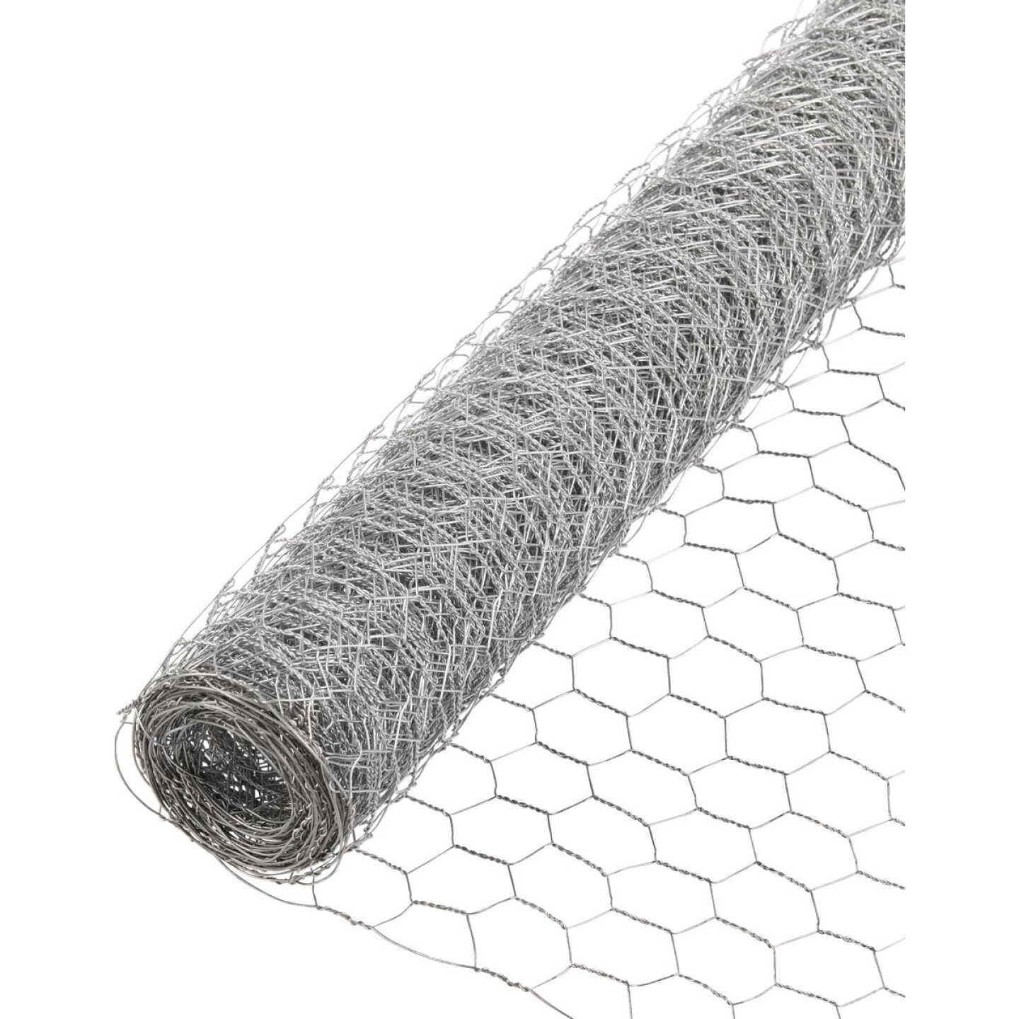 Agway 2 In. Mesh x 6 Ft. x 50 Ft. 20-Gauge Galvanized Steel Poultry Netting Image 1