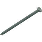 Do it 10d x 3 In. 9 ga Hot Galvanized Common Nails (66-Count, 1 Lb.) Image 1
