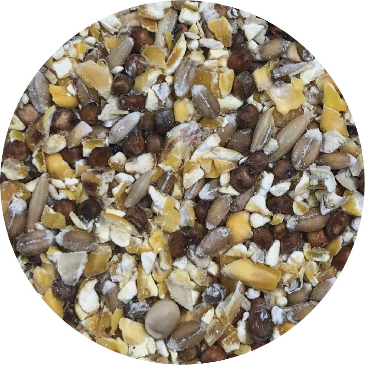 Pecking Order 40 Lb. Scratch Grains Image 2