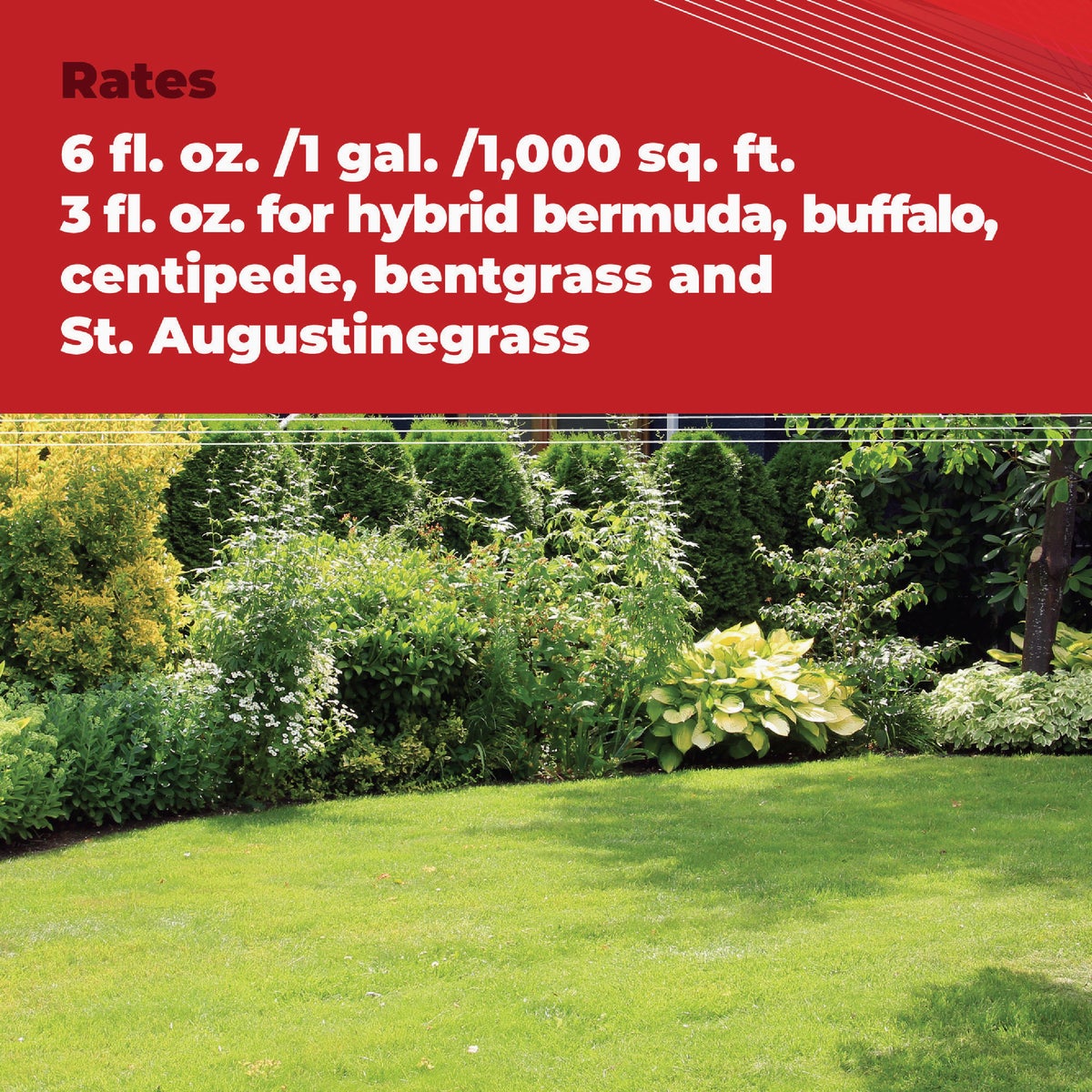 Gordon's Trimec Speed 1 Qt. Concentrate Lawn Weed Killer Image 3