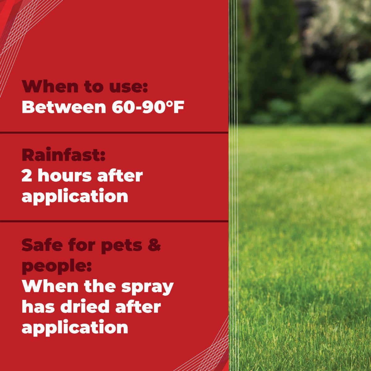 Gordon's Trimec Speed 1 Qt. Concentrate Lawn Weed Killer Image 4