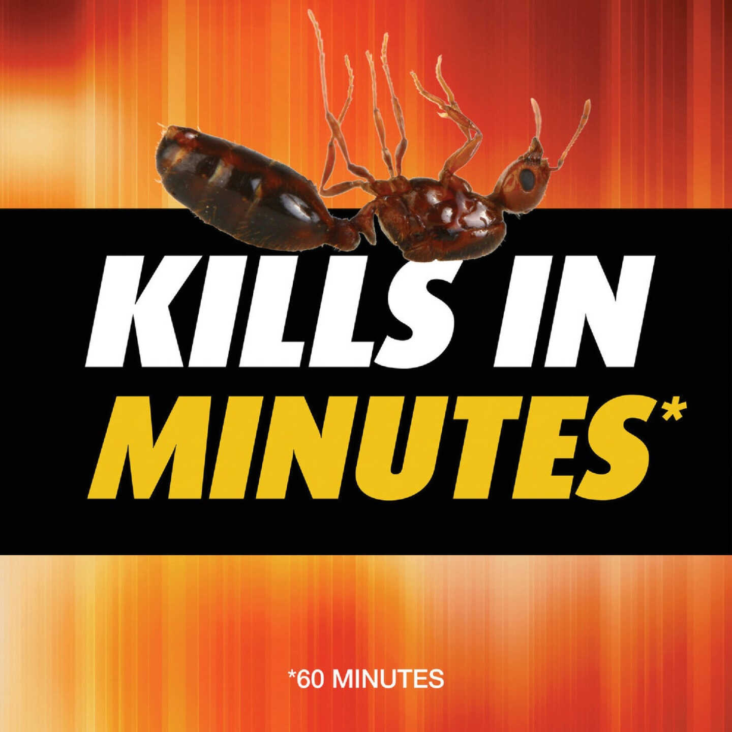 Ortho Orthene 12 Oz. Fire Ant Killer Image 5