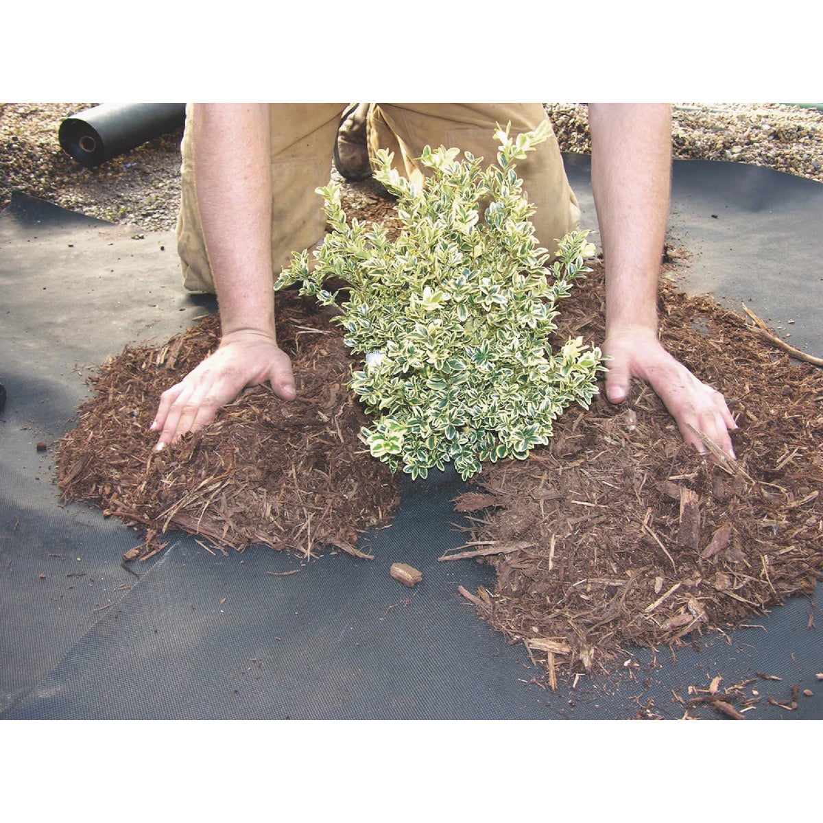 DeWitt 6 Ft. x 300 Ft. 3 Oz. Weed-Barrier Pro Landscape Fabric Image 2
