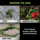Ortho GroundClear 1 Gal. Refill Weed & Grass Killer Image 4