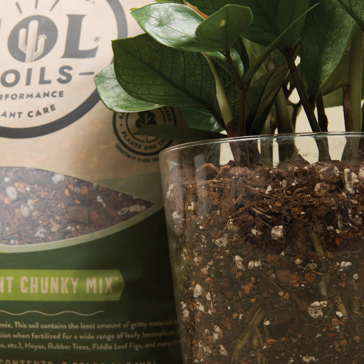 Sol Soils 4 Qt. Houseplant Chunky Mix Image 3