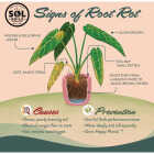 Sol Soils 4 Qt. Houseplant Chunky Mix Image 5