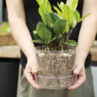 Sol Soils 4 Qt. Houseplant Chunky Mix Image 2