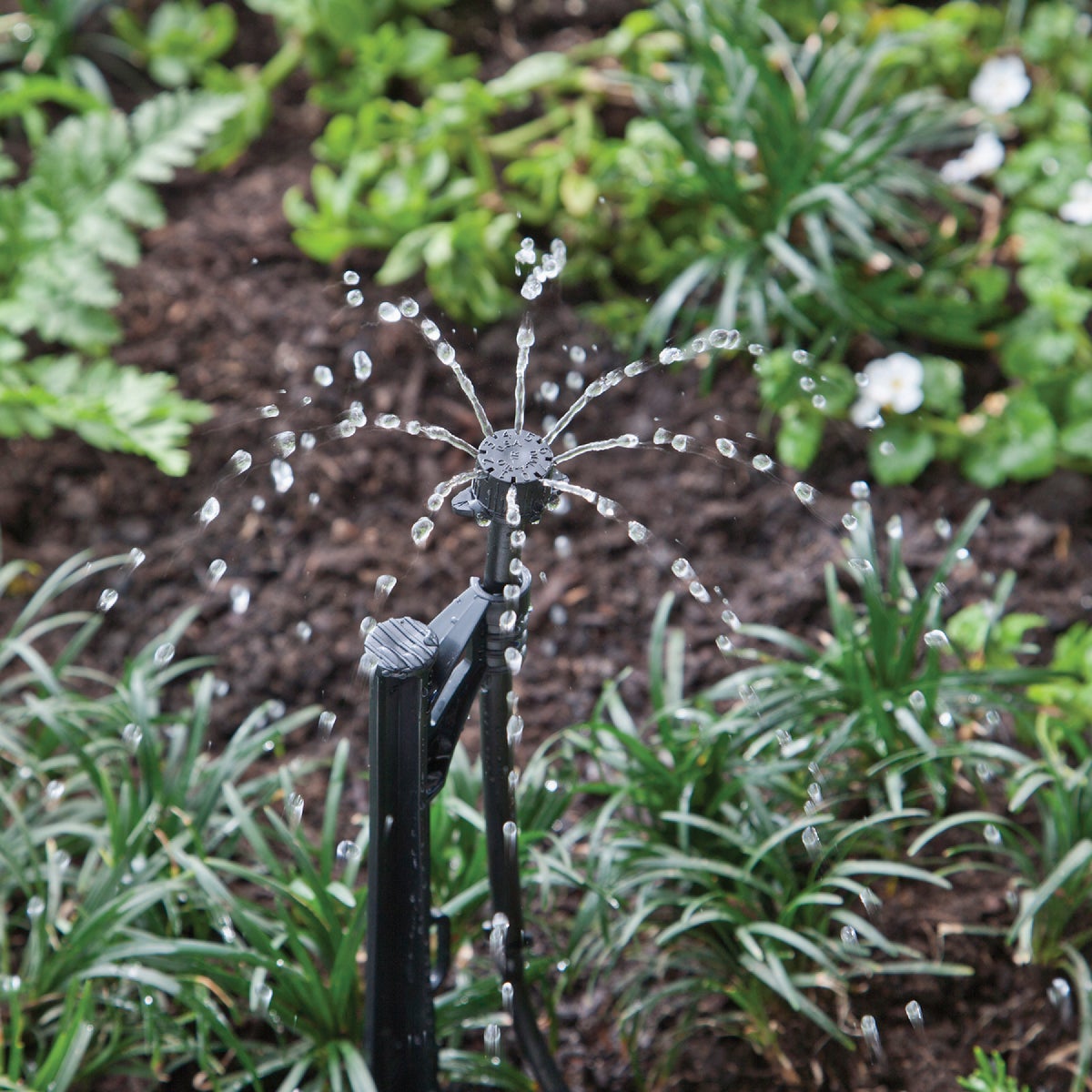 Raindrip Full-Circle Adjustable Flow Bubbler Assembly Image 4