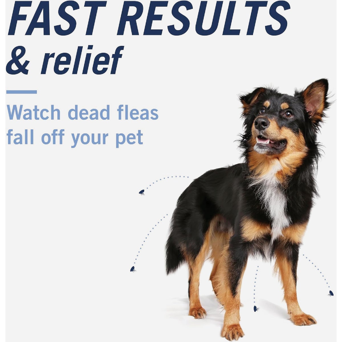 PetArmor CapAction Over 25 Lb. Dog Flea Tabs (6-Pack) Image 3