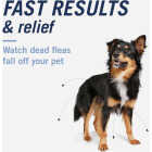 PetArmor CapAction Over 25 Lb. Dog Flea Tabs (6-Pack) Image 3