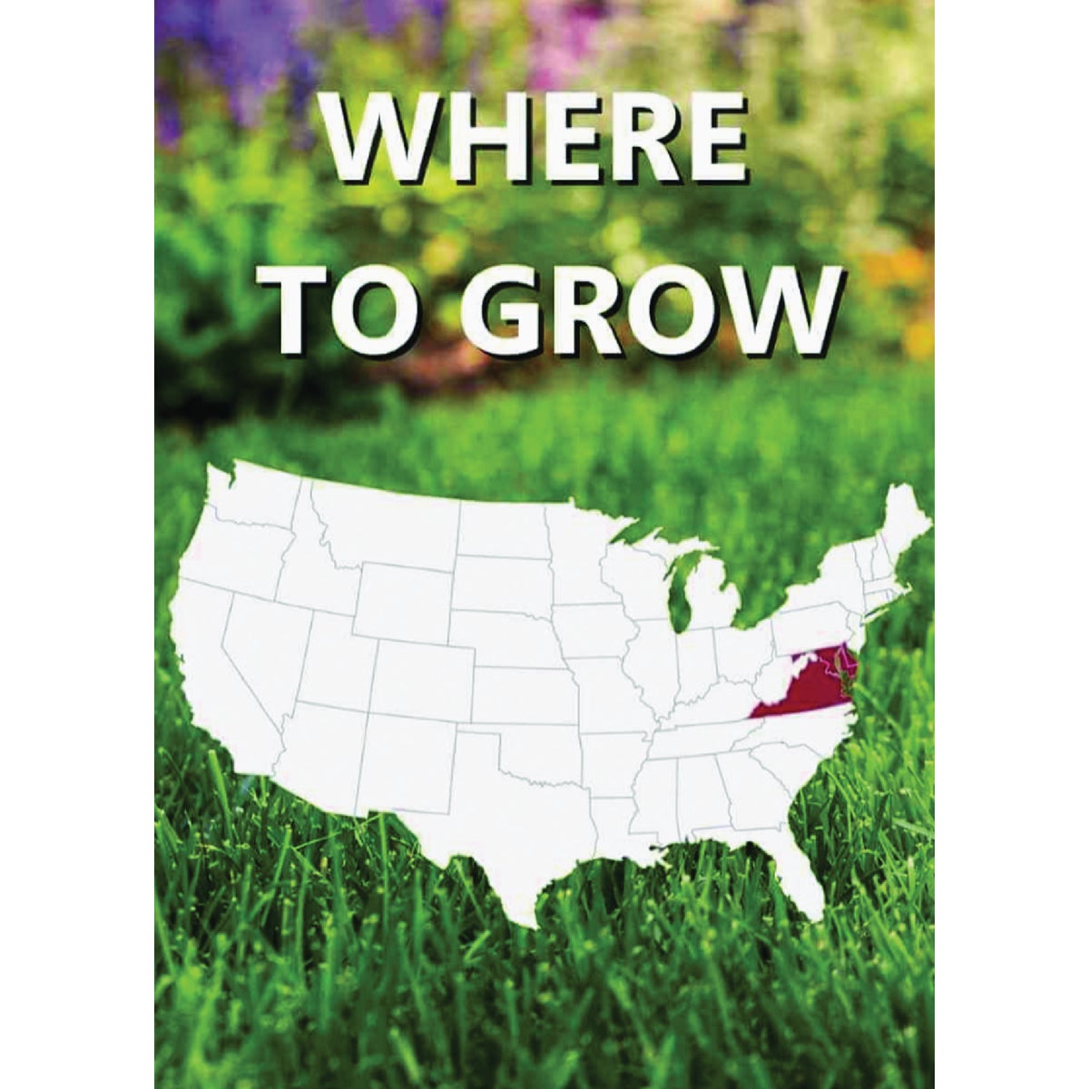 Jonathan Green Black Beauty Delmarva 3 Lb. 1500 Sq. Ft. Coverage Tall Fescue Grass Seed Image 2