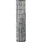 Agway 48 In. H. x 100 Ft. L. (2x4) Zinc-Coated Galvanized Welded Wire Fence Image 1