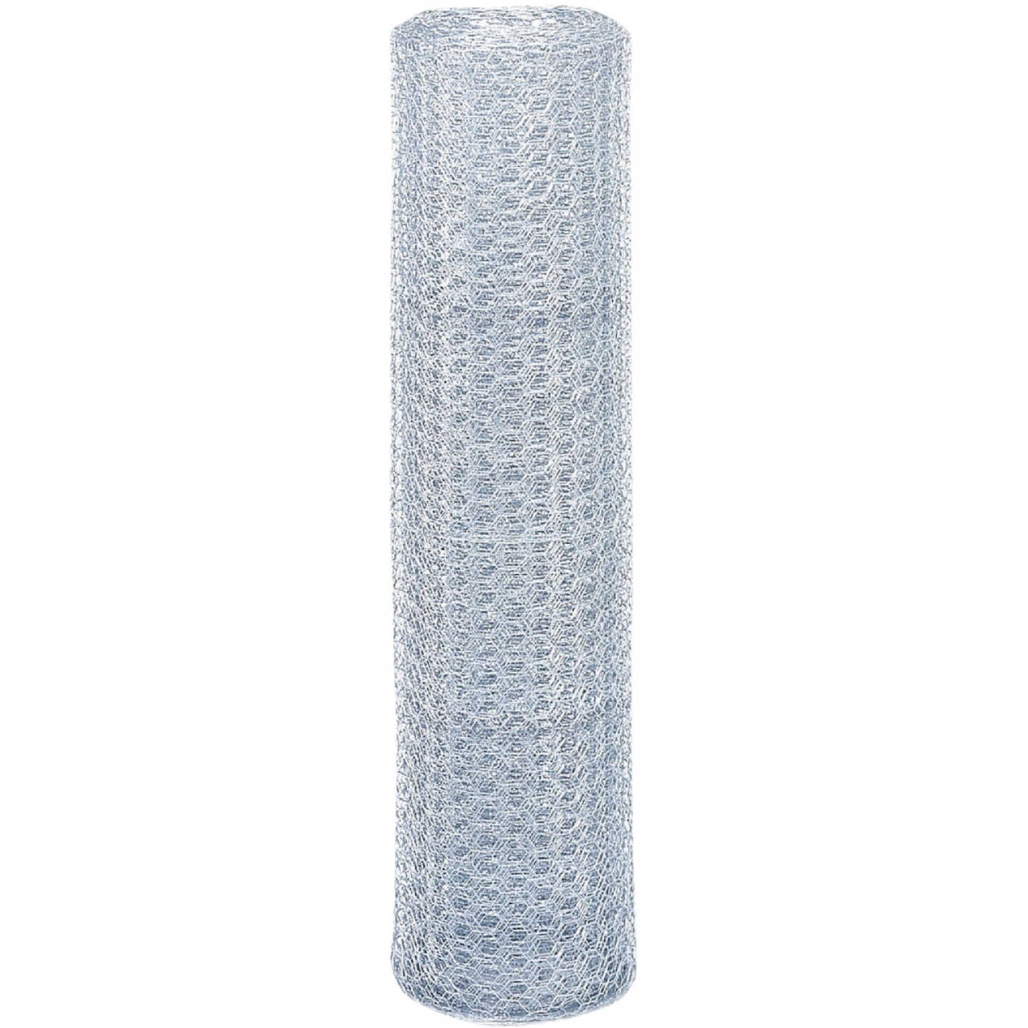 Agway 1 In. x 36 In. H. x 50 Ft. L. Hexagonal Wire Poultry Netting Image 2