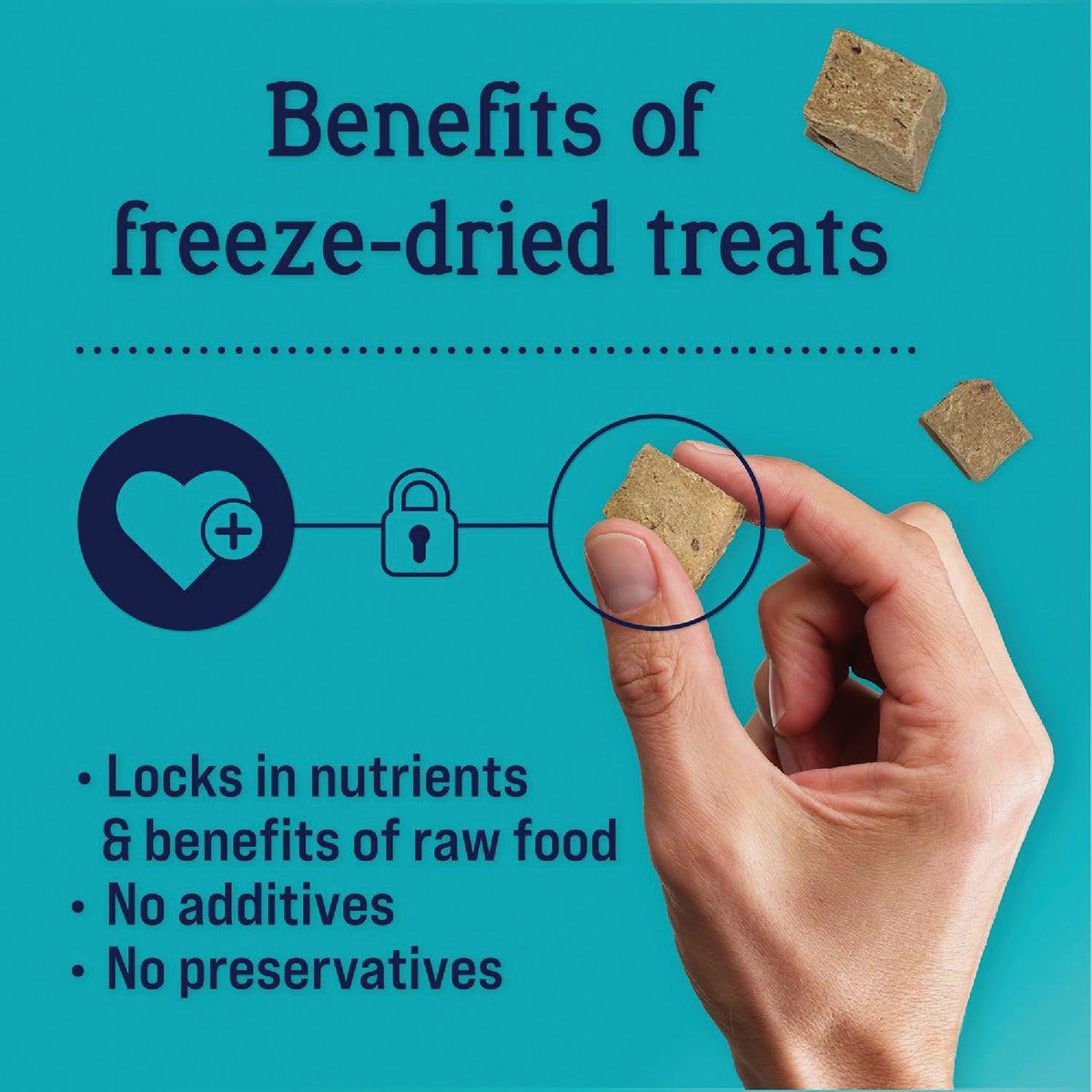 Stewart 12 Oz. Freeze-Dried Beef Liver Dog Treats Image 4