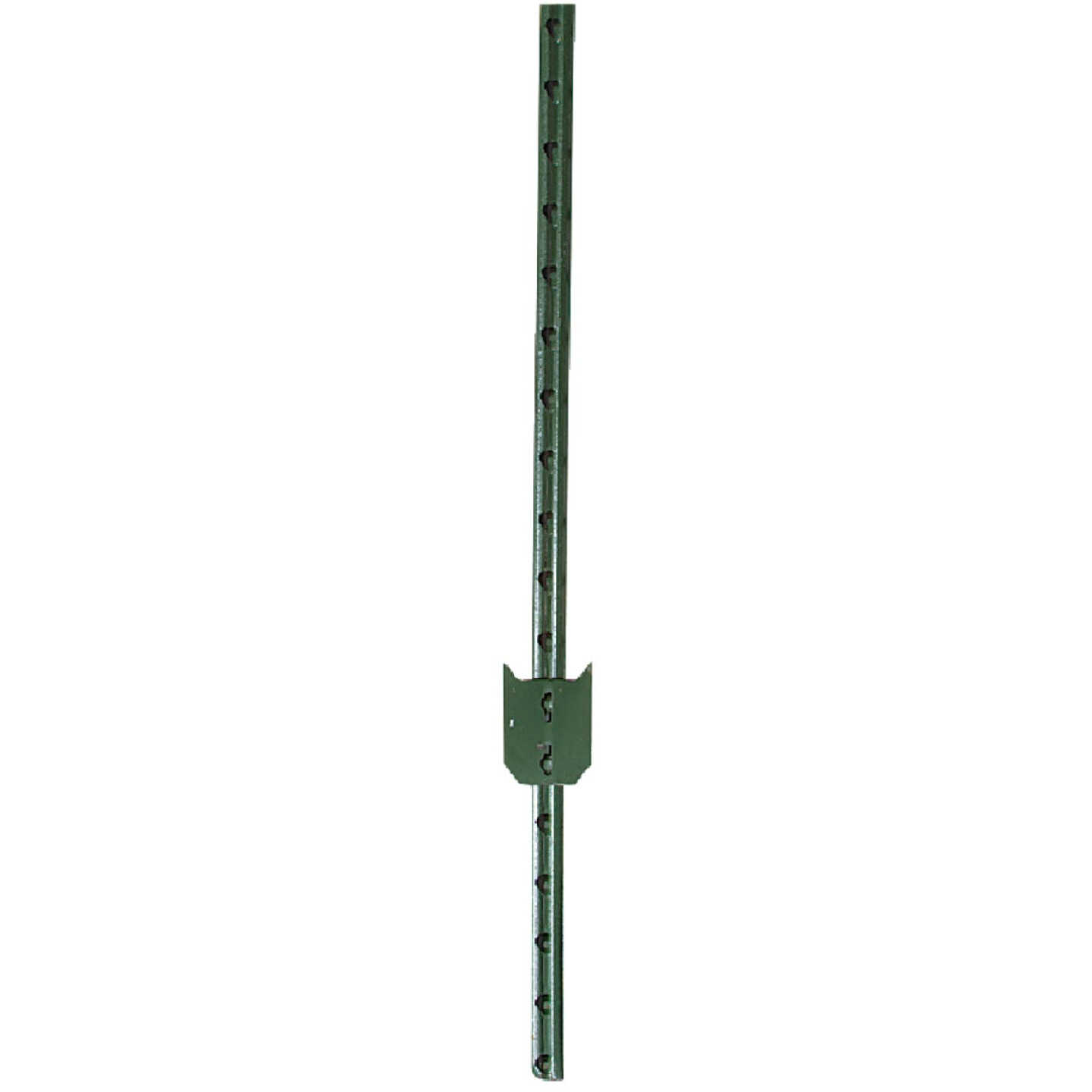 American Posts 6-1/2 Ft. Steel 1.25 Lb/Ft. Fence T-Post Image 1
