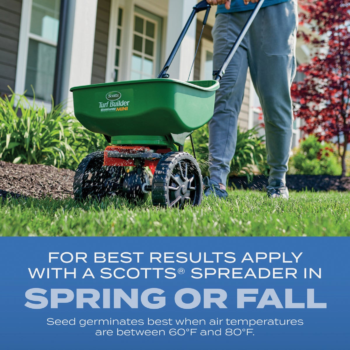 Scotts Turf Builder 5.6 Lb. 745 Sq. Ft. Sun & Shade Mix Grass Seed, Fertilizer, and Soil Improver Combination Image 4