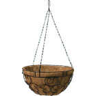 Green Thumb 14 In. Black Hanging Plant Basket Image 1