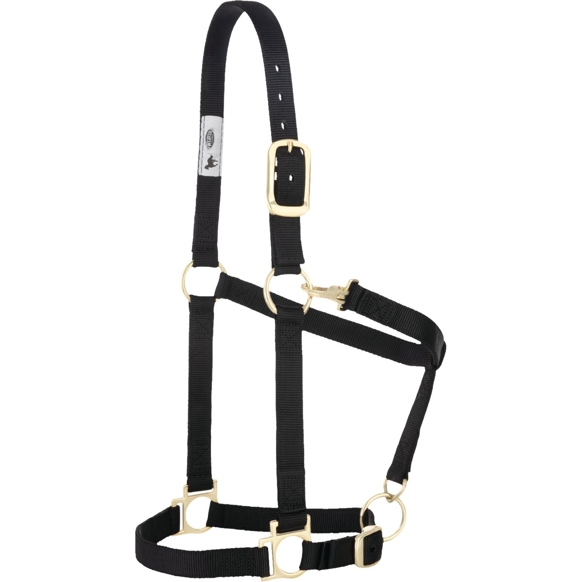 Weaver Equine Black Average Halter
