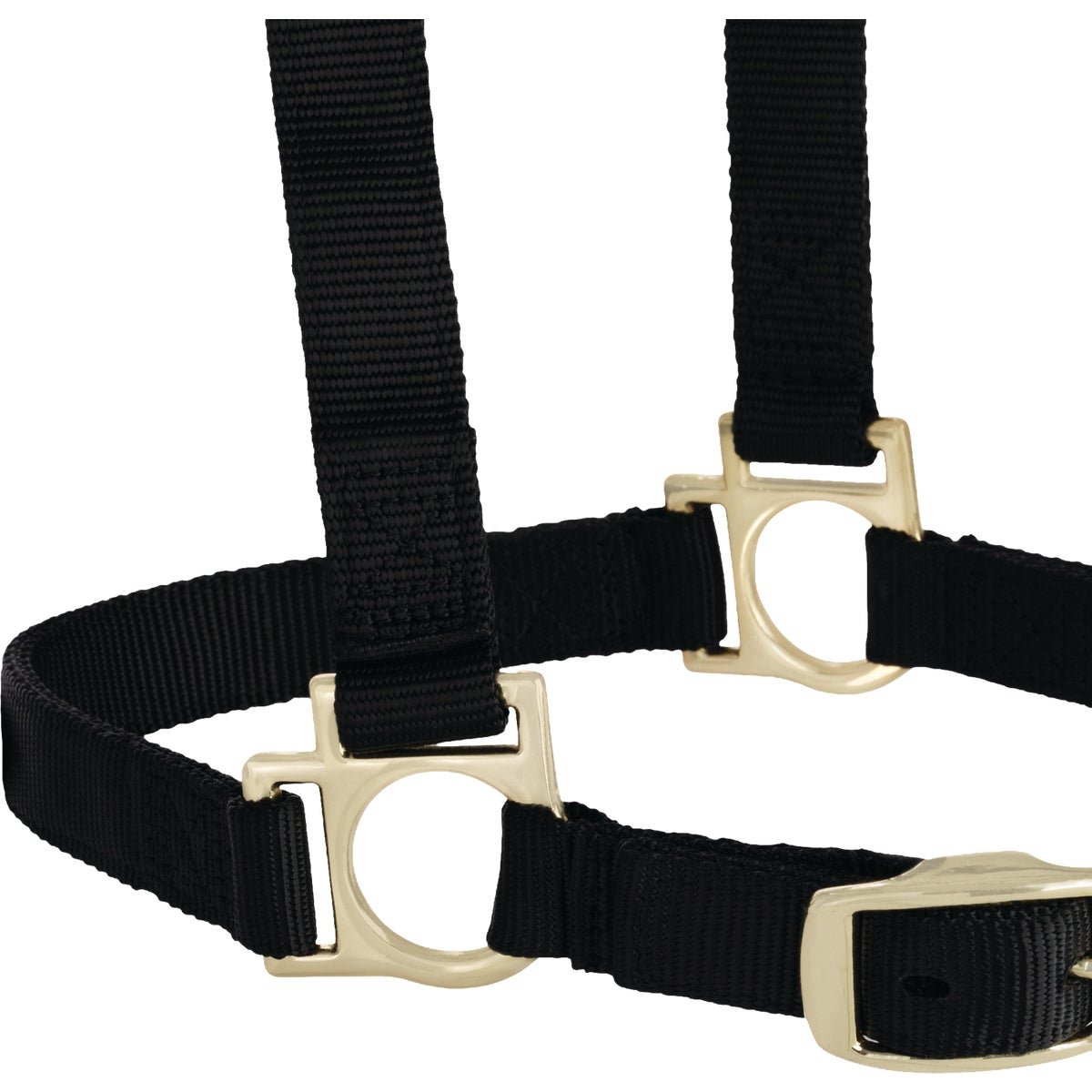 Weaver Equine Black Large Halter