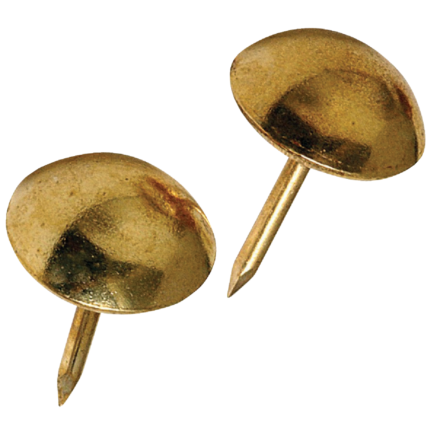 Hillman Fastener Corp Large Round Brass Furniture Nail (25-Count) Image 1