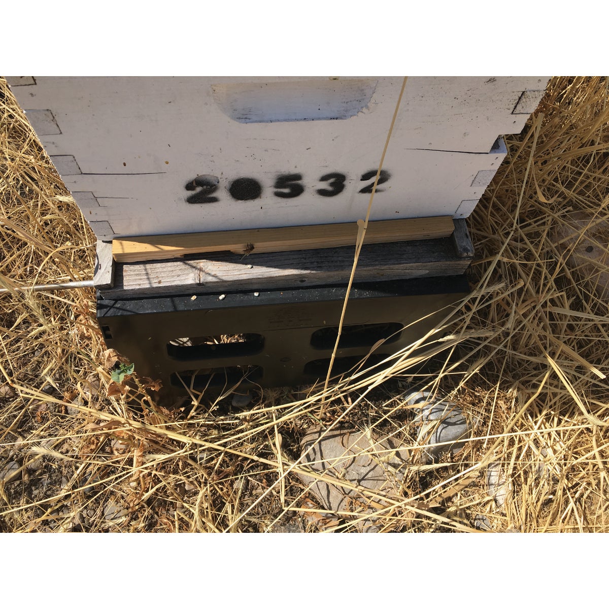 Harvest Lane Honey 3/4 In W x 3/4 In H x 14-3/4 In L Wood 10-Frame Beehive Entrance Reducer Image 2