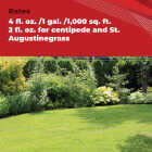 Gordon's Trimec 1 Qt. Concentrate Lawn Weed Killer Image 3