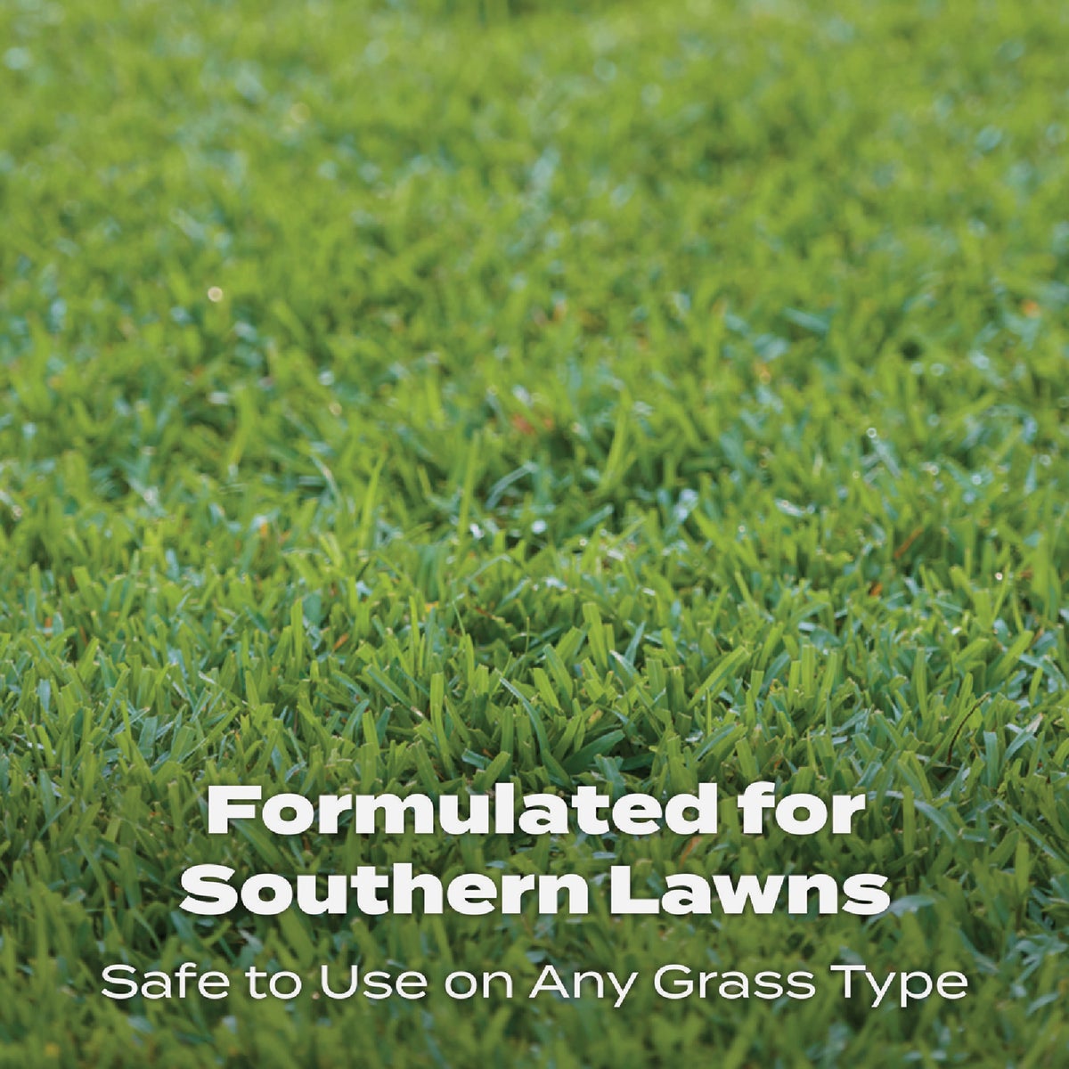 Scotts Turf Builder 14.06 Lb. 5000 Sq. Ft. Southern Lawn Food Image 3