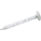 Do it 7/8 In. 11 ga Hot Galvanized Roofing Nails (280-Count, 1 Lb.) Image 1