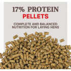 Kent Home Fresh Extra Egg Layer 50 Lb. Pellet Feed Image 2